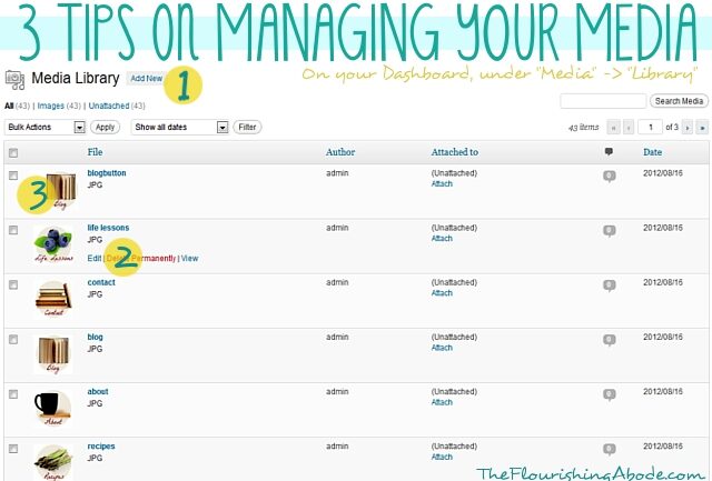 3-tips-on-managing-your-media-in-wordpress-7419474
