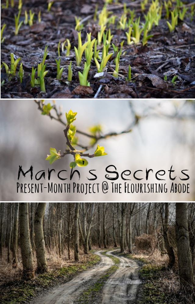 March Secrets - Present Month Project
