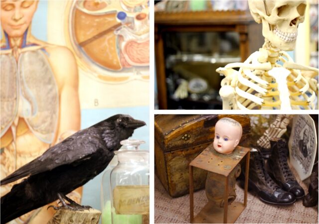 antiques3-1599918