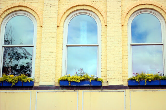 windows2-6039624