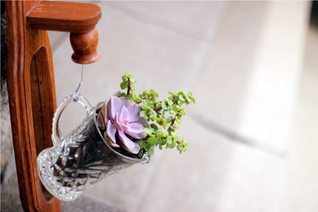 creamer planter creamer-planter-3999771