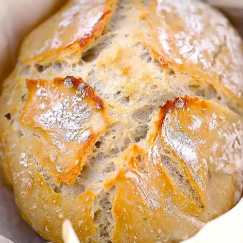 No Knead Dutch Oven Bread Recipe